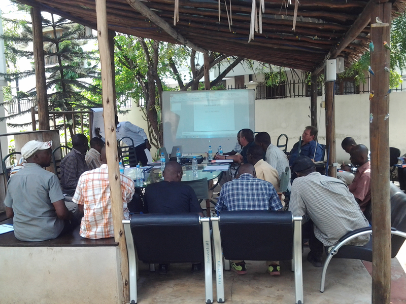 And Consultancy services